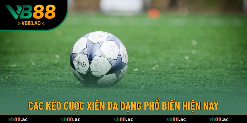 Giới thiệu một số kèo cược xiên đa dạng hiện nay