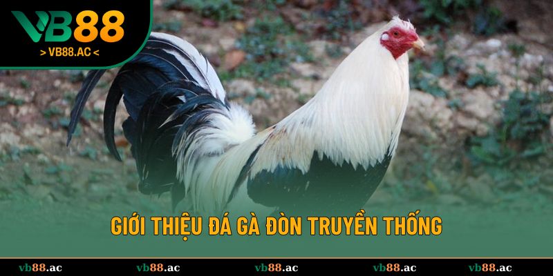 Thông tin tổng quan về đá gà đòn truyền thống 
