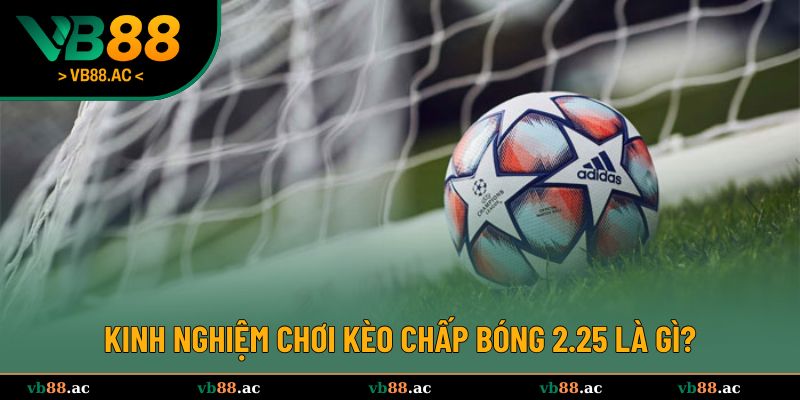 Kinh nghiệm hay được chia sẻ từ cao thủ