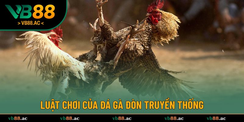 Luật chơi cơ bản của đá gà đòn truyền thống 