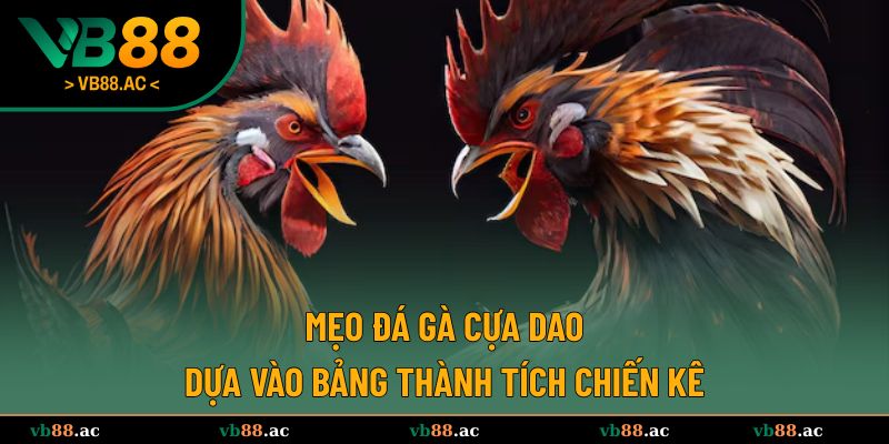Mẹo đá gà cựa dao dựa vào bảng thành tích chiến kê 