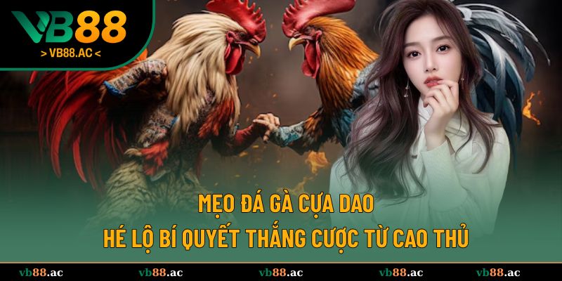 mẹo đá gà cựa dao