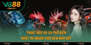 thuật ngữ đá gà phổ biến